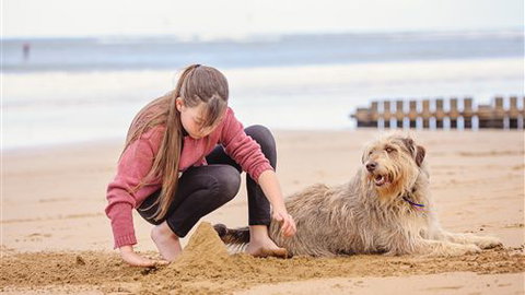 Front Beach Torquay Beach Houses - Accommodation NSW 4