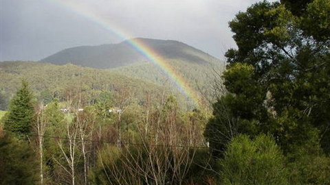 Wattletree Cottage - Accommodation NSW 0