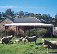 Amanda Stichbury Cottage - Accommodation NSW