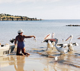 Loverings Lodge - Emu Bay - Accommodation NSW 1