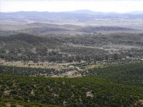 Willangi Bush Escapes - Accommodation NSW 3