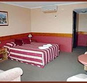 Winsor Park Motor Inn - Accommodation NSW