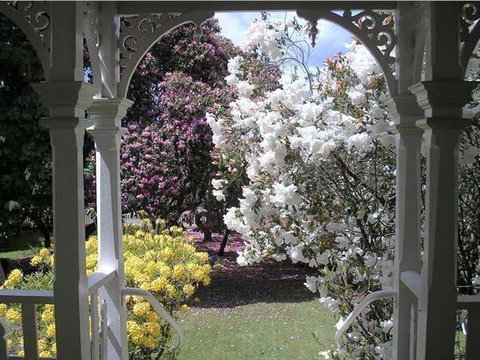 Anabel's Of Scottsdale - Accommodation NSW 4