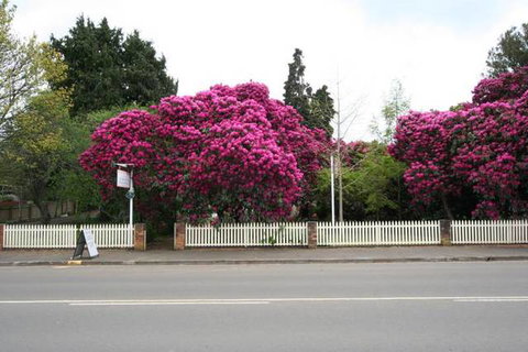 Anabel's Of Scottsdale - Accommodation NSW 3
