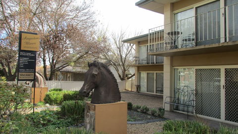 Angaston Mews Apartments - Accommodation NSW 13