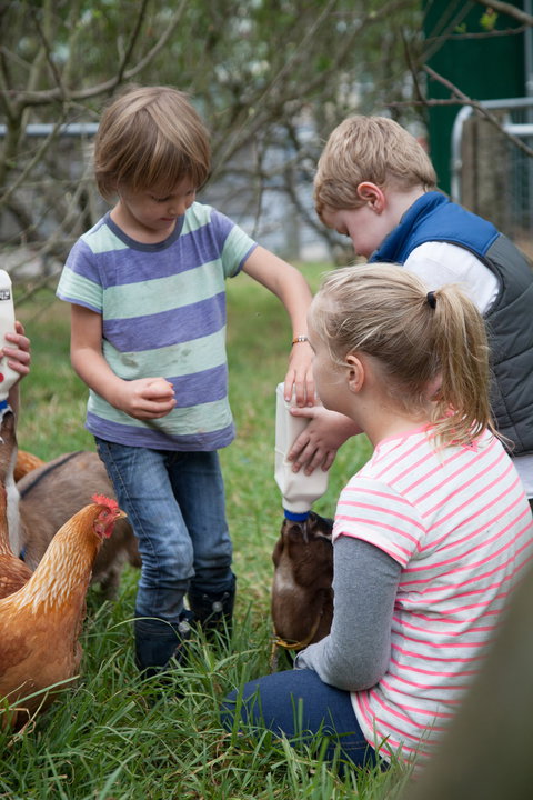 Lalee Farm - Accommodation NSW 5