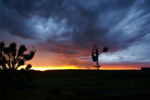 Daysy Hill Country Cottages - Accommodation NSW 9