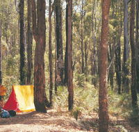 Nanga Mill Camp at Lane Poole Reserve - Accommodation NSW