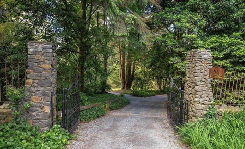 Sunflower Cottage - Accommodation NSW 11