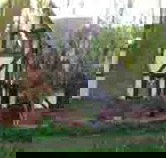 Petts Wood Lodge - Accommodation NSW