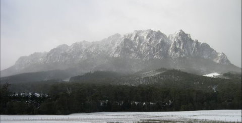 55 Acres Retreat - Accommodation NSW 4