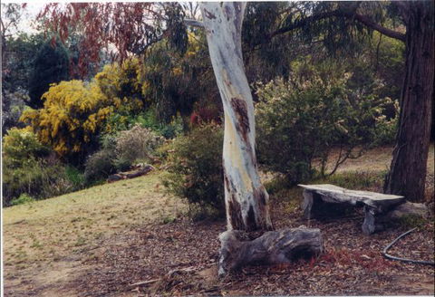 Kurringai Cottage - Accommodation NSW 1
