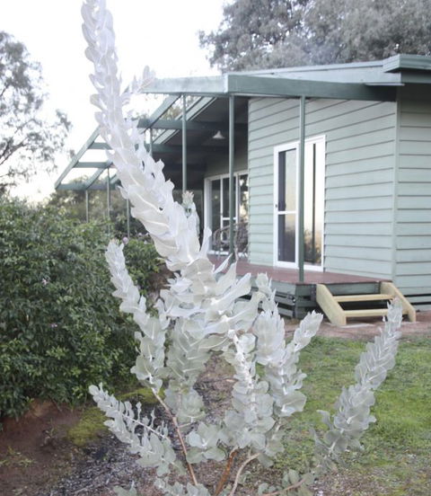 Kurringai Cottage - Accommodation NSW 2