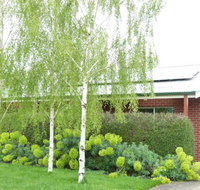 Birralee Cottage - Accommodation NSW