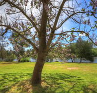 Breakaway Twin Rivers Caravan Park - Accommodation NSW