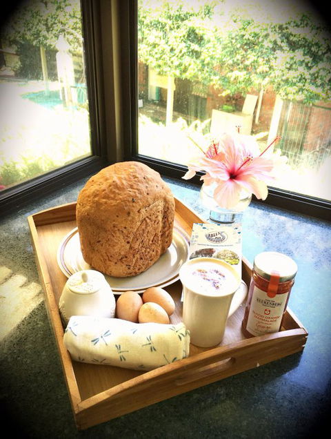 Falls Retreat Bed And Breakfast - Accommodation NSW 0