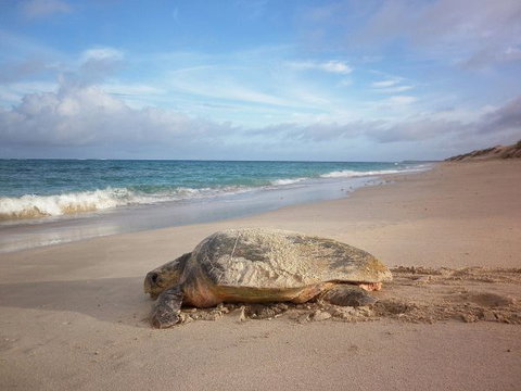Gnaraloo Station - Accommodation NSW 9