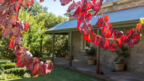 Grand Cru Estate Homestead - Accommodation NSW 0