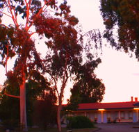 Murray Bridge Central Olympic Motel and Cottages - Accommodation NSW