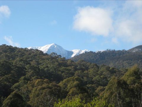 Moonlight Ridge Chalet - Accommodation NSW 0