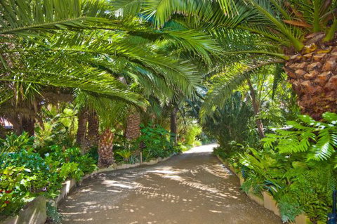 Seacove On The Beach - Accommodation NSW 4