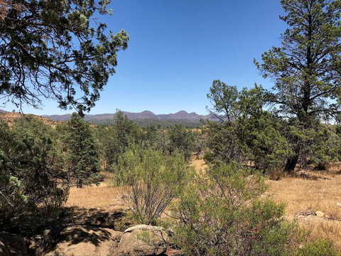 Upalinna Station - Accommodation NSW 0