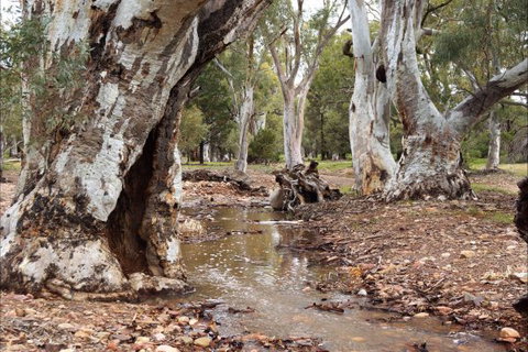 Upalinna Station - Accommodation NSW 2