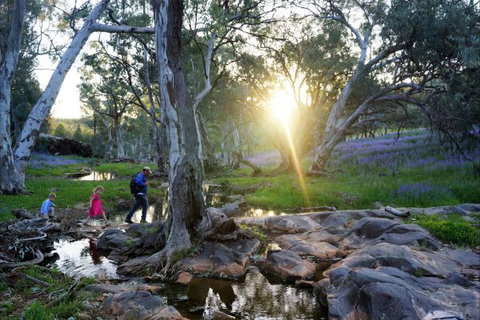 Upalinna Station - Accommodation NSW 3