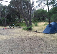 Allports Beach Camping Ground - Accommodation NSW