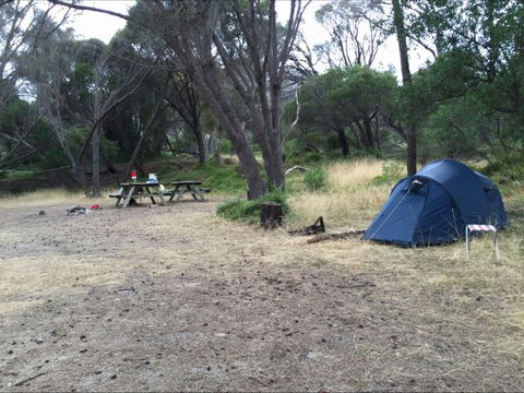 Allports Beach Camping Ground - Accommodation NSW 0