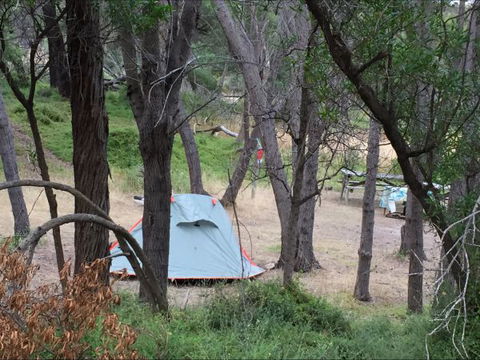 Allports Beach Camping Ground - Accommodation NSW 5
