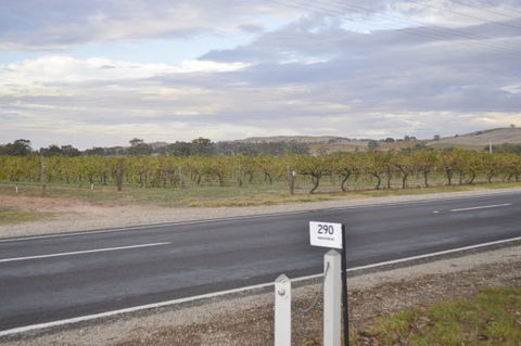 Almond Tree Cottage - Accommodation NSW 5