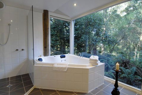 Arnica Views Summit Retreat - Accommodation NSW 5