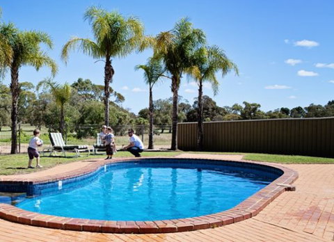 Barmera Country Club Motor Inn - Accommodation NSW 3
