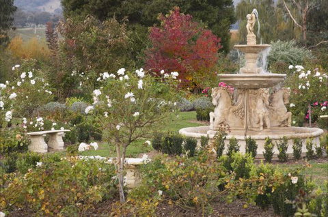 Brookfield Guesthouse - Accommodation NSW 5