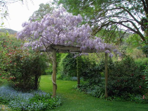 Brookfield Guesthouse - Accommodation NSW 8