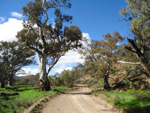 Flinders Bush Retreats - Accommodation NSW 7