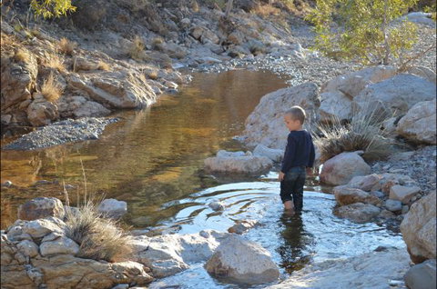 Flinders Bush Retreats - Accommodation NSW 8