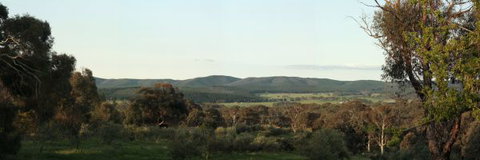 Guy's Cross Farm Cottage - Accommodation NSW 1