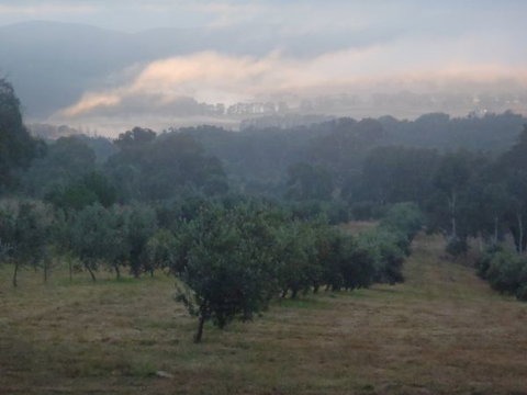 Guy's Cross Farm Cottage - Accommodation NSW 3