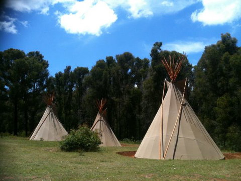 Kinglake Forest Adventures Camp - Accommodation NSW 0