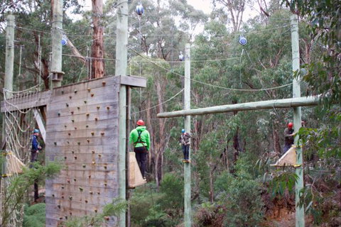 Kinglake Forest Adventures Camp - Accommodation NSW 2