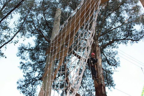 Kinglake Forest Adventures Camp - Accommodation NSW 4