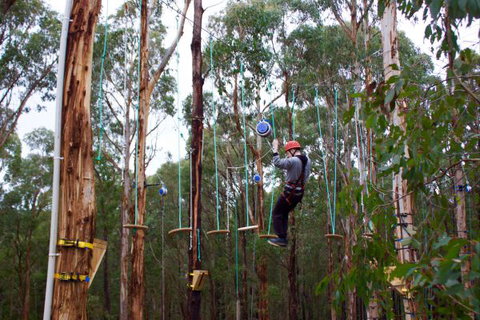 Kinglake Forest Adventures Camp - Accommodation NSW 5