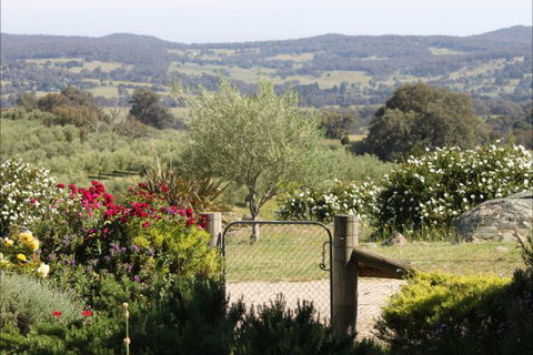 L'Oliveraie - Accommodation NSW 1