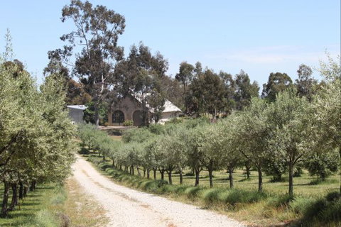 L'Oliveraie - Accommodation NSW 2
