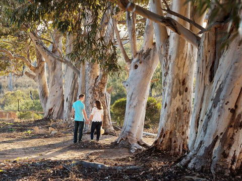 Rilli Retreat - Accommodation NSW 3