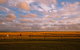 Sanctuary@Waratah - thumb 8