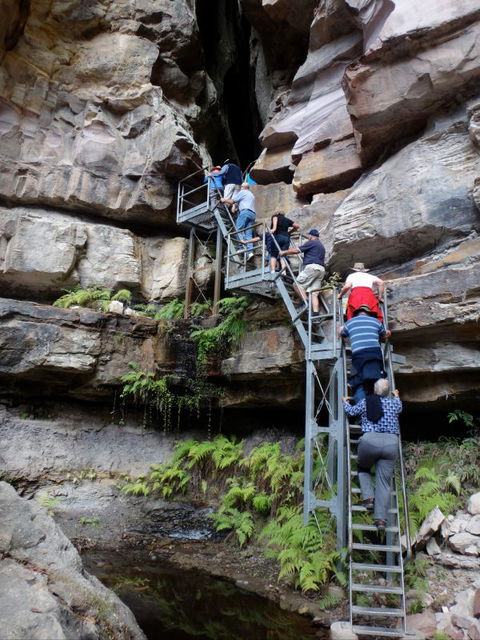 Takarakka Bush Resort Carnarvon Gorge - Accommodation NSW 0