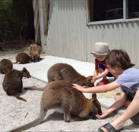 The Patriarch Wildlife Sanctuary Camping Ground - Accommodation NSW